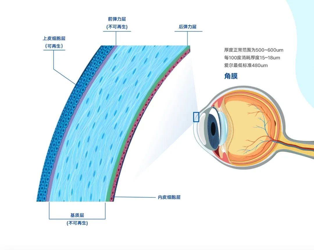 圖片.png 圖片.png