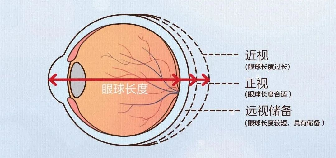 圖片.png 圖片.png
