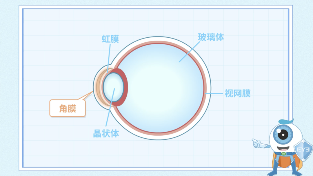 圖片.png