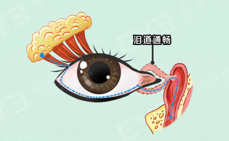 圖片.png