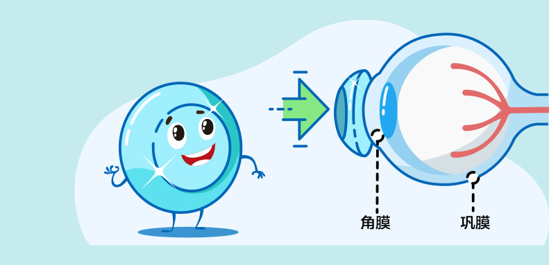 Blog Single