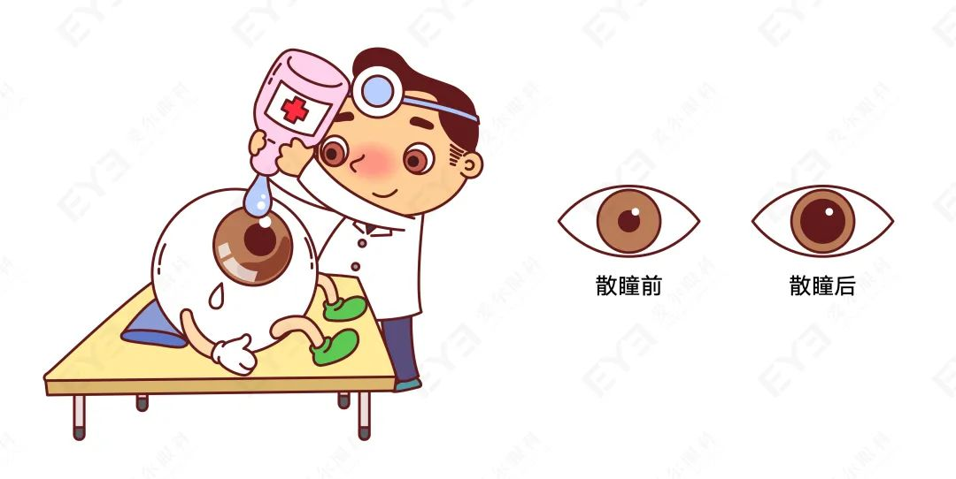 Blog Single