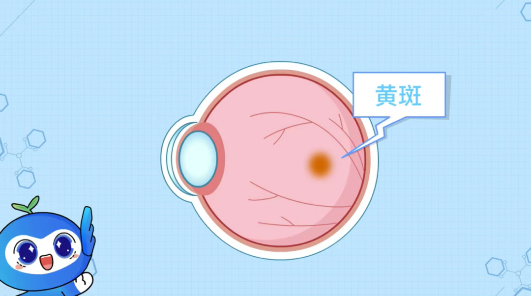 圖片.png